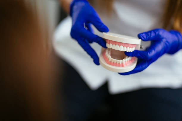 Dental X-Rays and Imaging in Presque Isle, ME